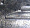 5 - Copy.jpg