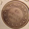 newfoundland 1899_Wide 9s 5.jpg