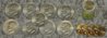DSCN5720.JPG