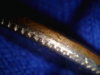 2000 mass off center partial collar strike (3).jpg