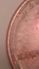 CAM04980.jpg