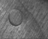 larger circle 200 X.jpg