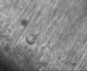 smaller circle 200 X.jpg