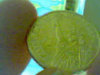 117.jpg