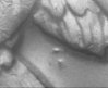 s initals reverse.jpg