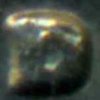 79-d 25cmintDD.jpg