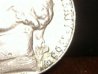 coins21 160 410x307.JPG