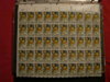 DSC00425.JPG