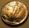 Silver ASEs 002.JPG
