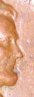 1958 cent error face.jpg