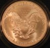 2006 ASE Unc Reverse 1.jpg
