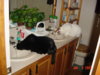 DSC00695.JPG