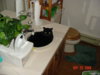 DSC00229.JPG