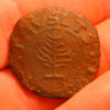 NH FINDS 02-23 copy3.jpg
