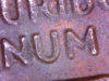 DD-005-2.jpg