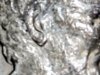 ANOTHER EAR.jpg