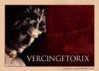 vercingetorix.jpg