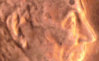 1984NormalFrontCLOSE3.jpg