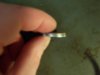 Quarter side 1.jpg
