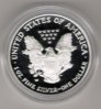 2003 proof American Eagle WP mint in case 001.jpg