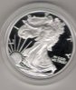 2003 proof American Eagle WP mint in case.jpg
