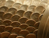 fish_detail.jpg