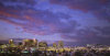 phoenix-photo-1-lg.jpg