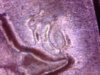 1985D- 1 jpg.jpg