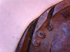 Image2.jpg