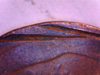 Image4.jpg