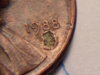 CAM02712.jpg