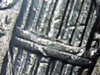 merc dime 2.jpg