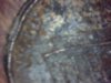 Snapshot_20140208_13.JPG