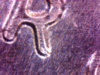 Image14.jpg