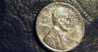 COINSEBAY 043.JPG