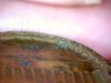 1974 penny cap 5.jpg