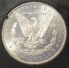 1884GSA_rev.JPG