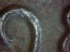 Snapshot_20140218_5.JPG