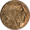 1927 Buffalo Nickel - Obverse.png