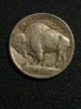 1913buffalo.jpg