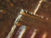 1992 penny 19.jpg