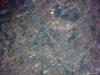 Snapshot_20140223.JPG