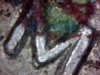 Snapshot_20140224_5.JPG