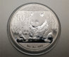 12 panda2.jpg