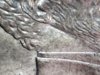 1996 D cent.jpg