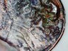 1993 d penny 002.JPG