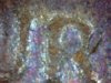 Snapshot_20140301_2.JPG