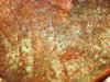 1991 penny with 8 20.jpg