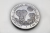 2012 elephant 2.jpg