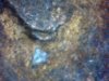 Snapshot_20140303.JPG